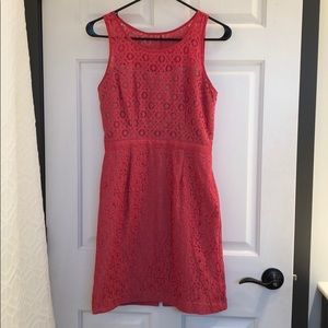Elle lace dress